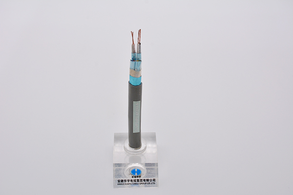 聚氯乙烯絕緣鋁塑帶分屏蔽+總屏蔽聚氯乙烯護(hù)套計算機(jī)電纜