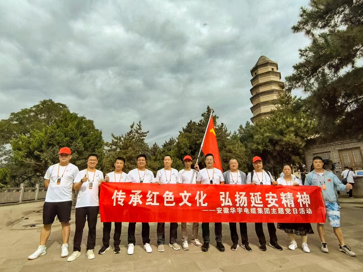               踐行延安精神 筑牢信仰之基 —安徽華宇集團(tuán)黨支部、無為市工信局黨總支聯(lián)合...
